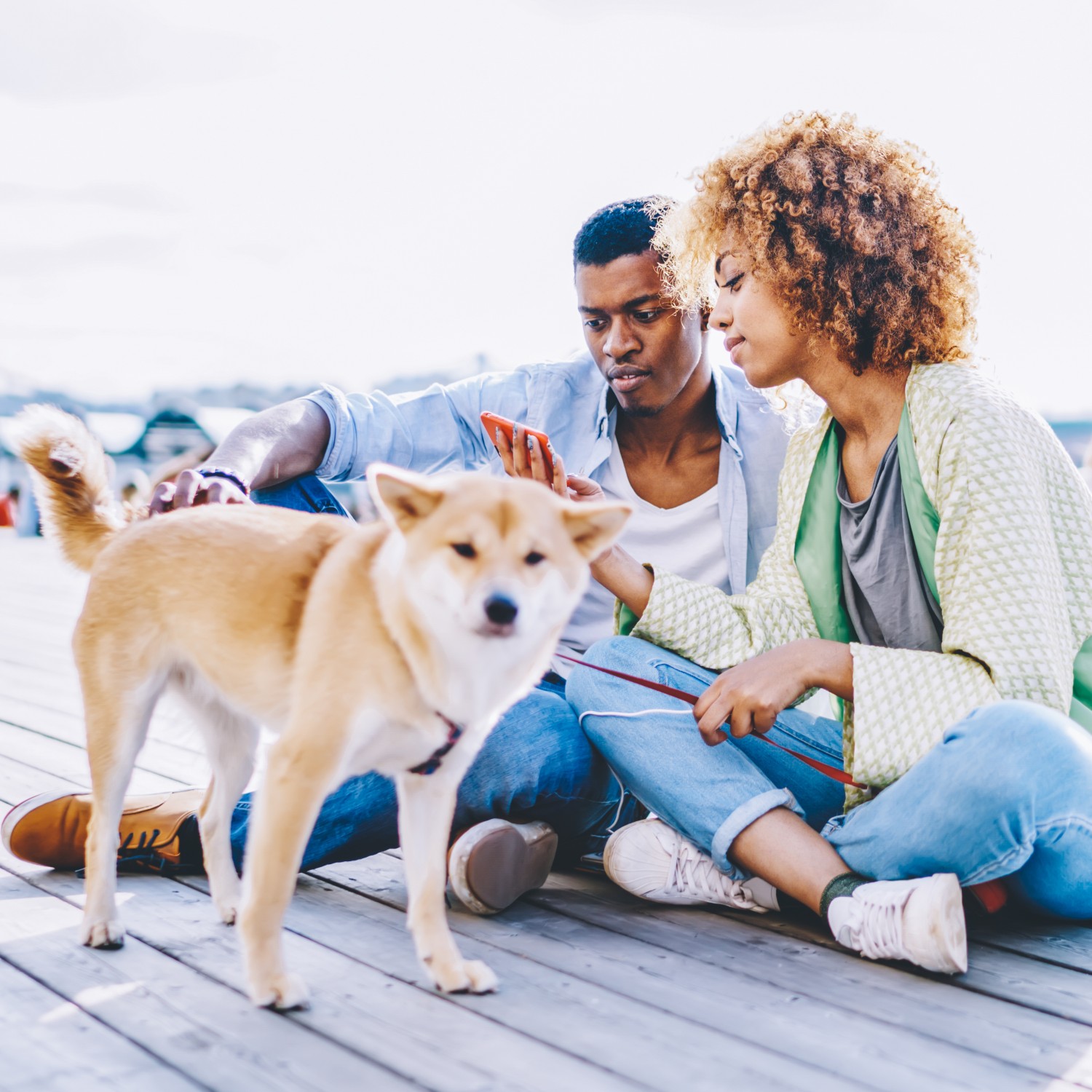 Couple looking at phone and yellow dog